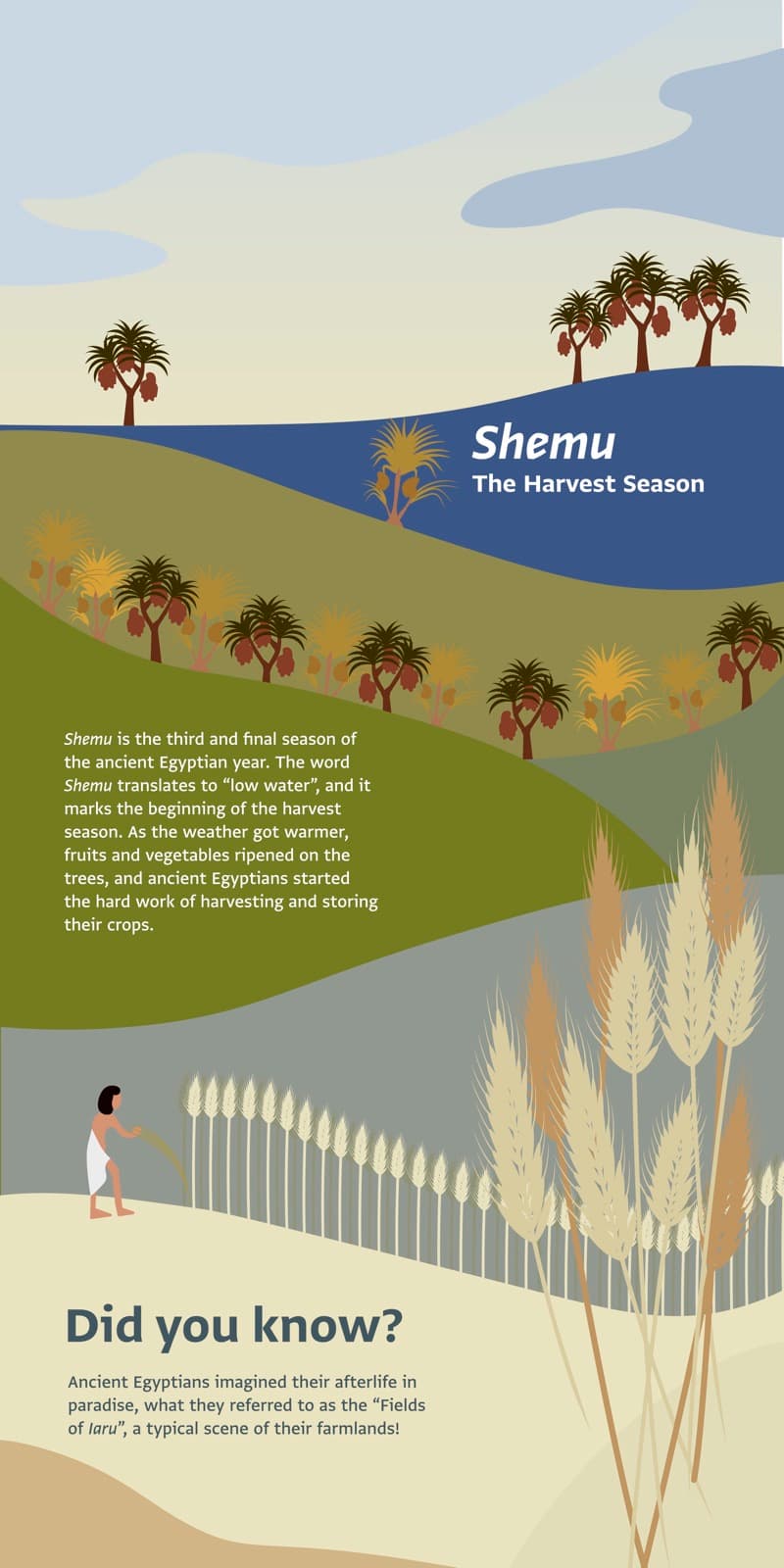 GEM Family Day Infographic Panels, gallery image 11