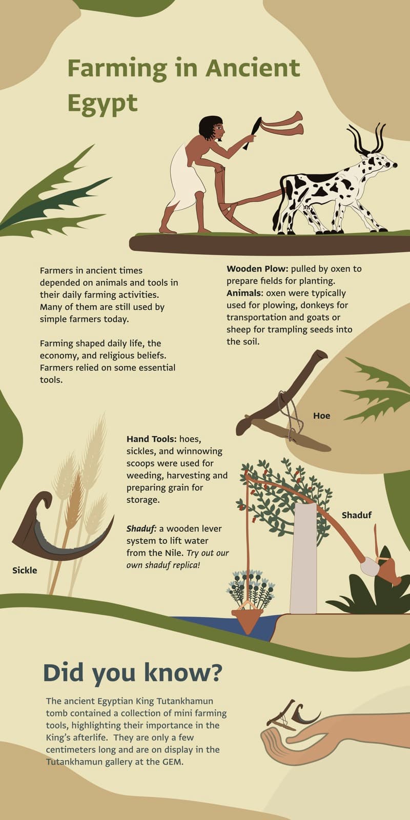 GEM Family Day Infographic Panels, gallery image 15